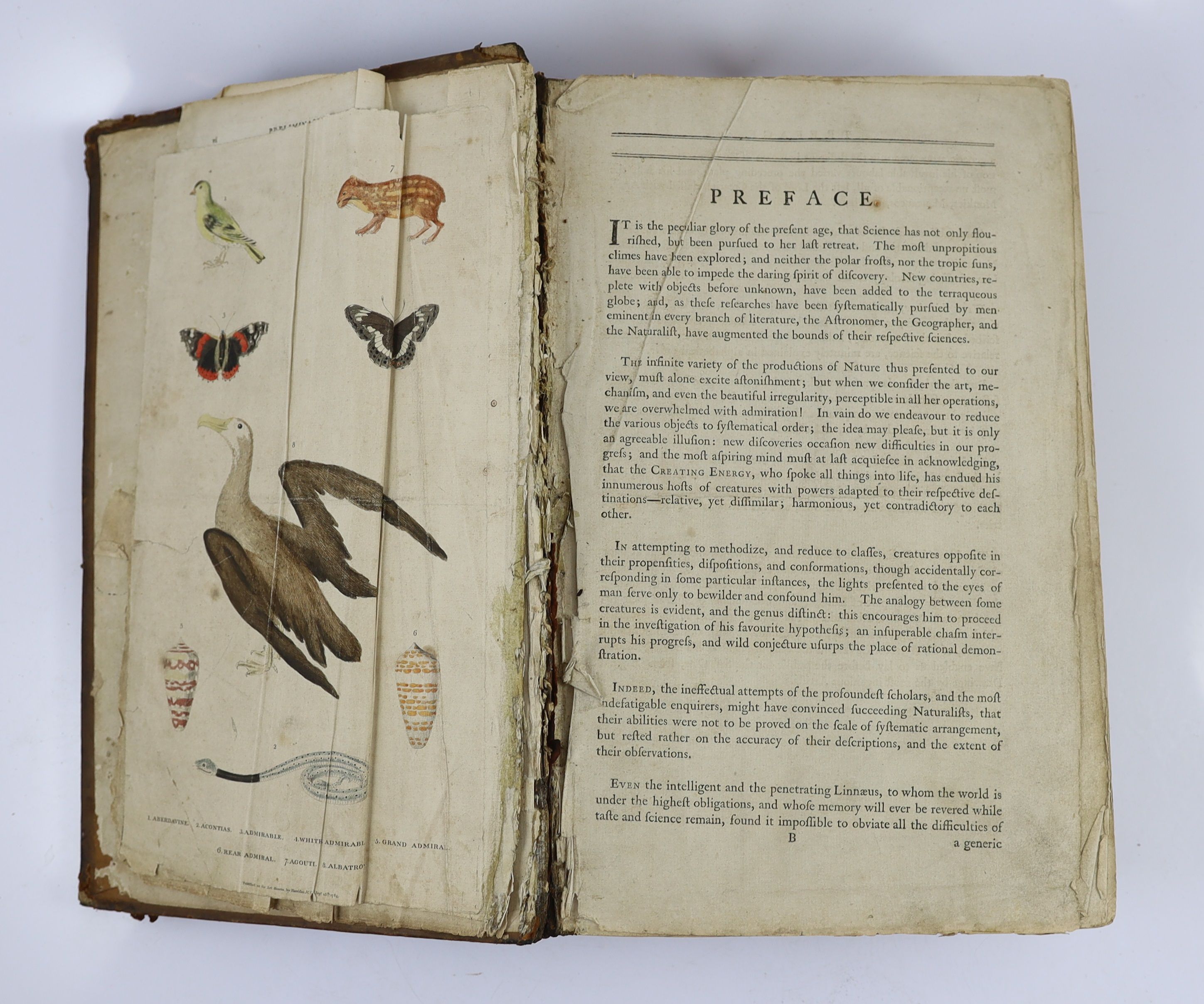 [Mavor, William Fordyce] - Martyn, William Frederick] - A New Dictionary of Natural History; or, Compleat Universal Display of Animated Nature, 2 vols. in one, folio, calf, with 100 (TO BE VERIFIED) hand-coloured engrave